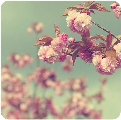 Ольга Ягодкина ♥ | Москва