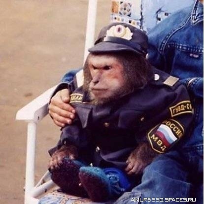 №23, Сади Садуллоев, 38 лет, Санкт-Петербург, Россия №23, Сади Садуллоев, 38 лет, Санкт-Петербург, Россия