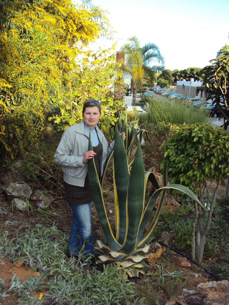 Oksana Lysá | Тернополь