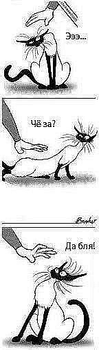 Диана Рассказова | Оренбург