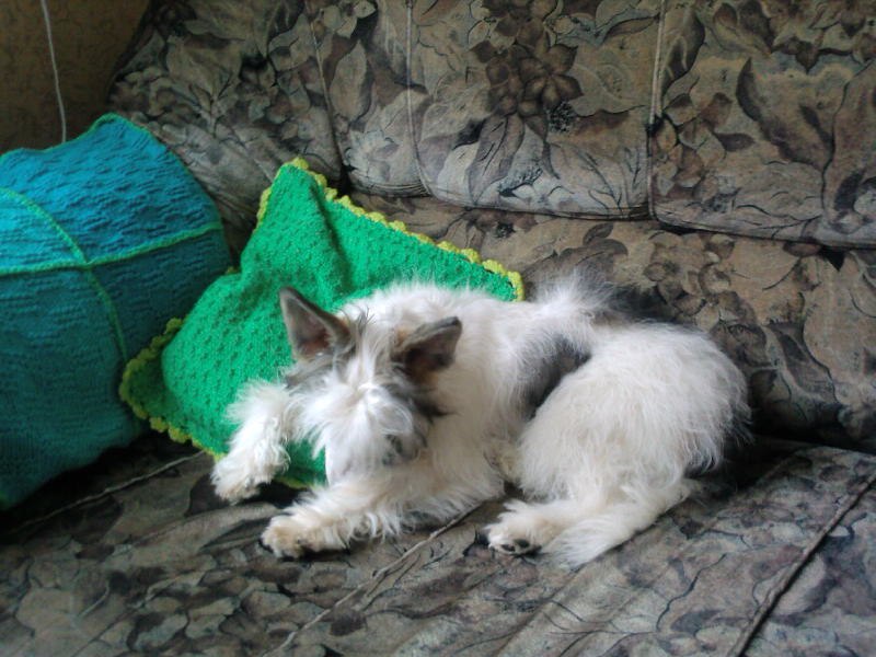 Светлана Дмитриева | Сланцы