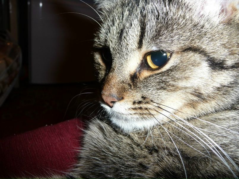 Дмитрий Гаранин | Заволжье