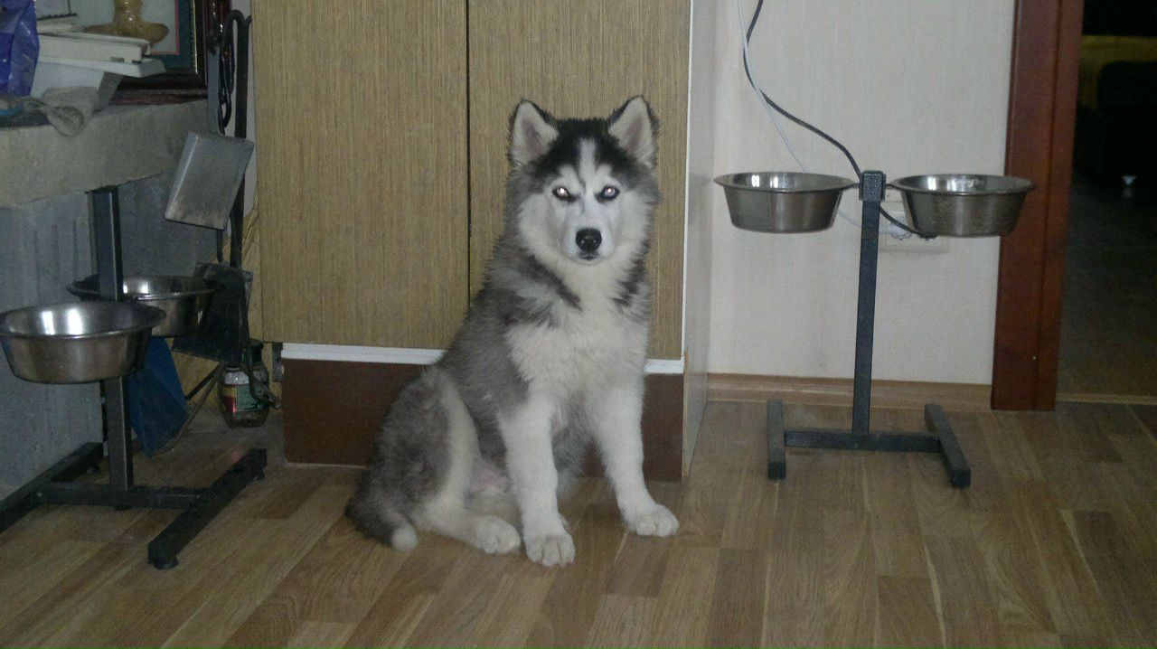 Владимир Дроздов | Москва