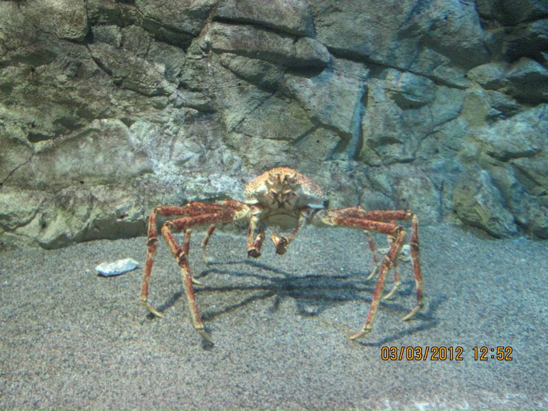 Яночка Суслова ♥ღ♥ღ♥ HAPPY ♥ღ♥ღ♥ | Санкт-Петербург