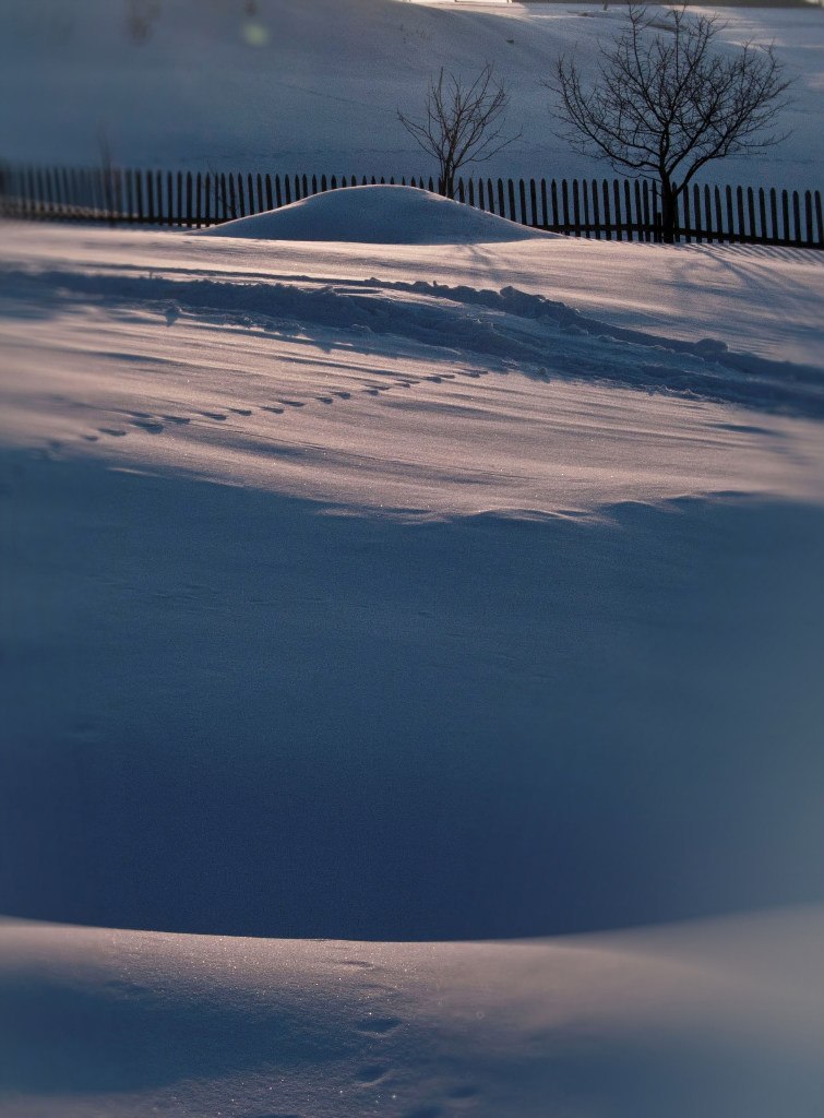 Мария Богданцева | Нижний Новгород