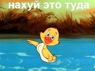 Александра Баткова | Калининград