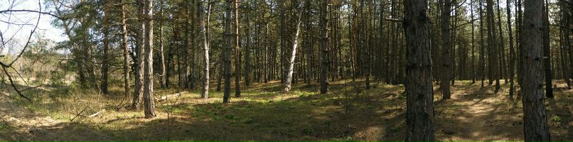 Саша Сидоренко | Запорожье