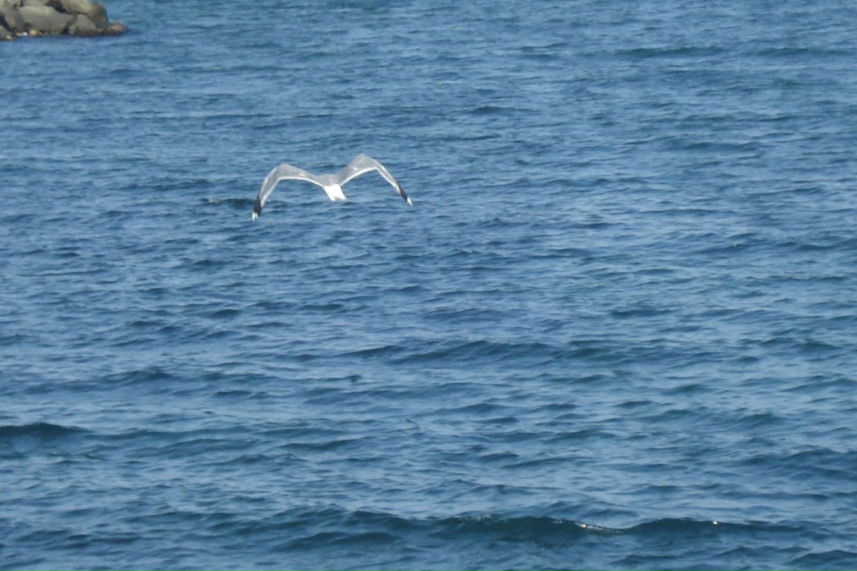 Людмила Савостьянова | Москва