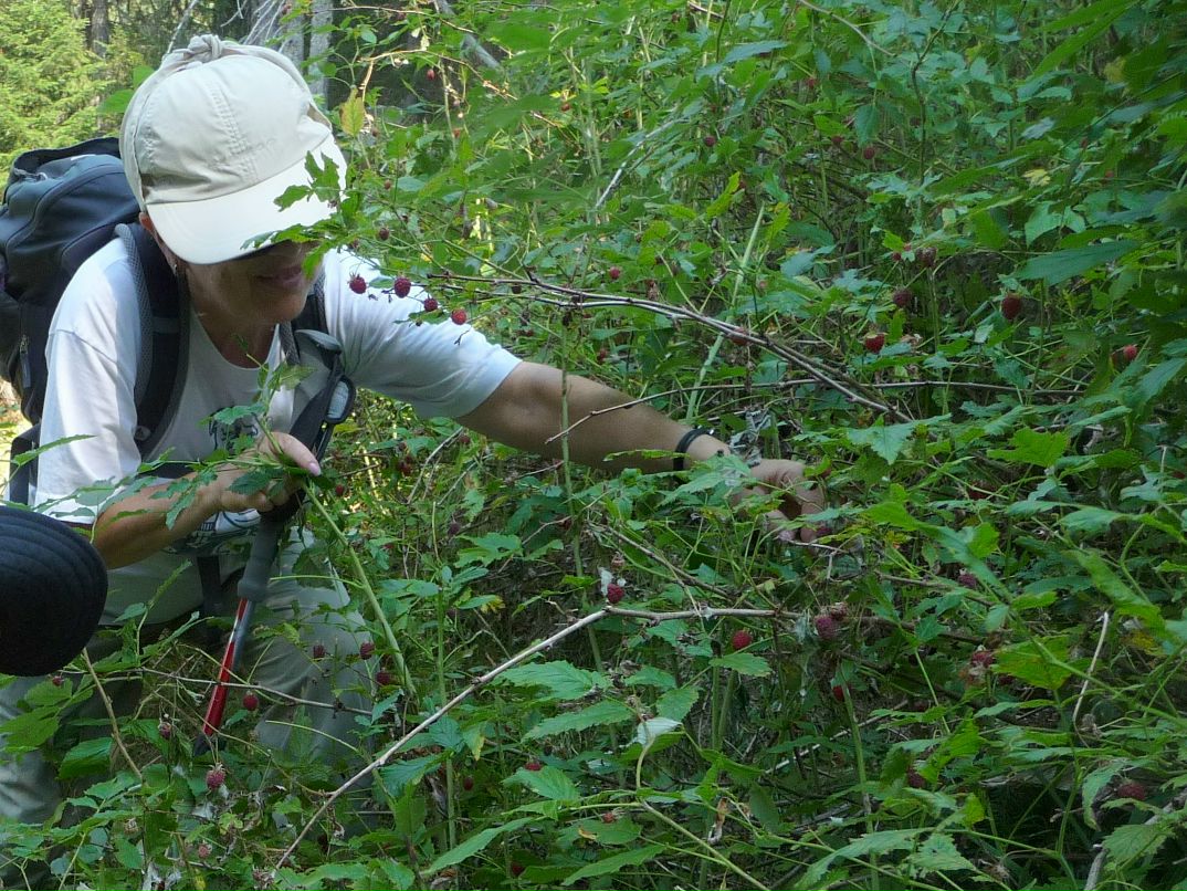 Бэла Вайнштейн | Санкт-Петербург