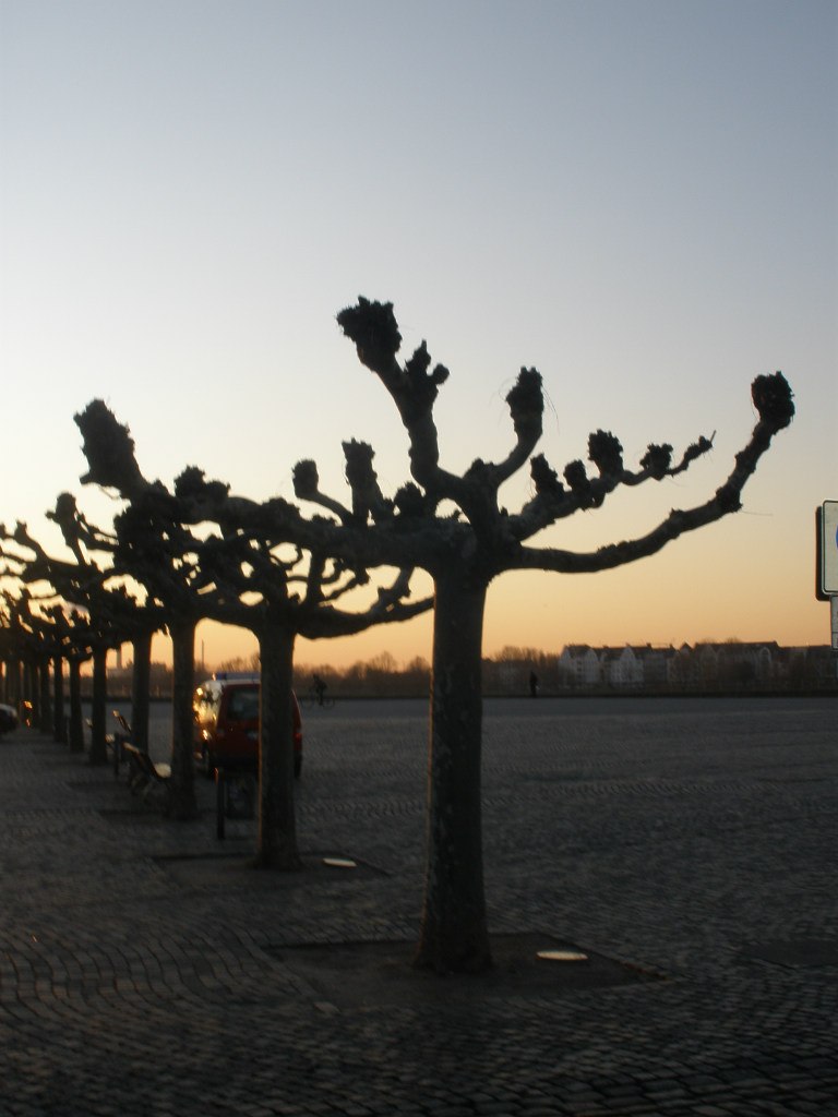 Инна Лёберманн | Москва