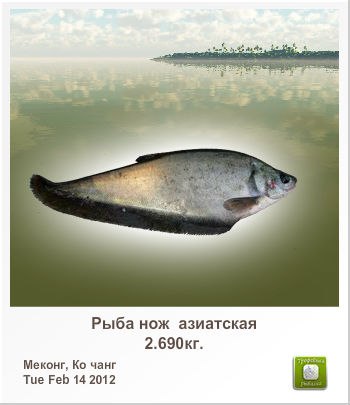 Андрей Зеньковский | Мариуполь