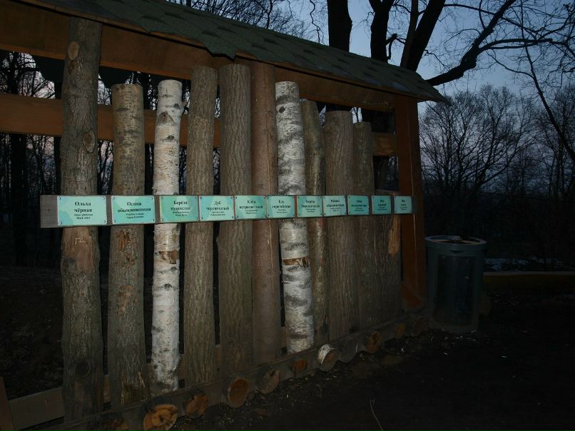 Резеда Сафиуллина | Казань