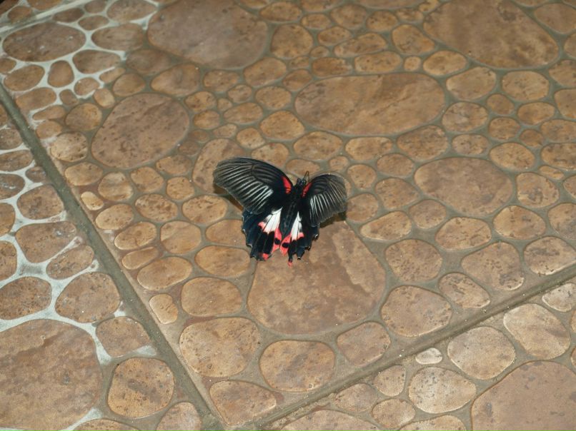 Резеда Сафиуллина | Казань