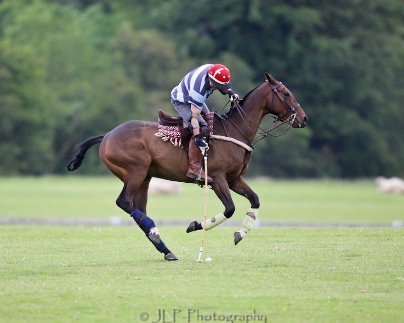 Fred Gaman | Edinburgh