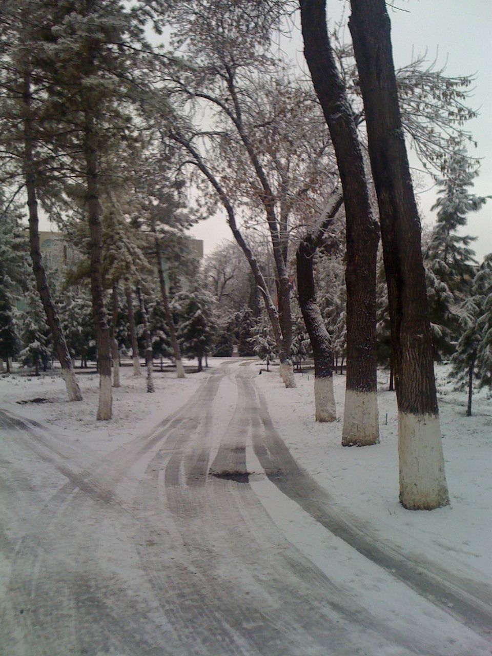 Sergey Ibragimov | Ташкент