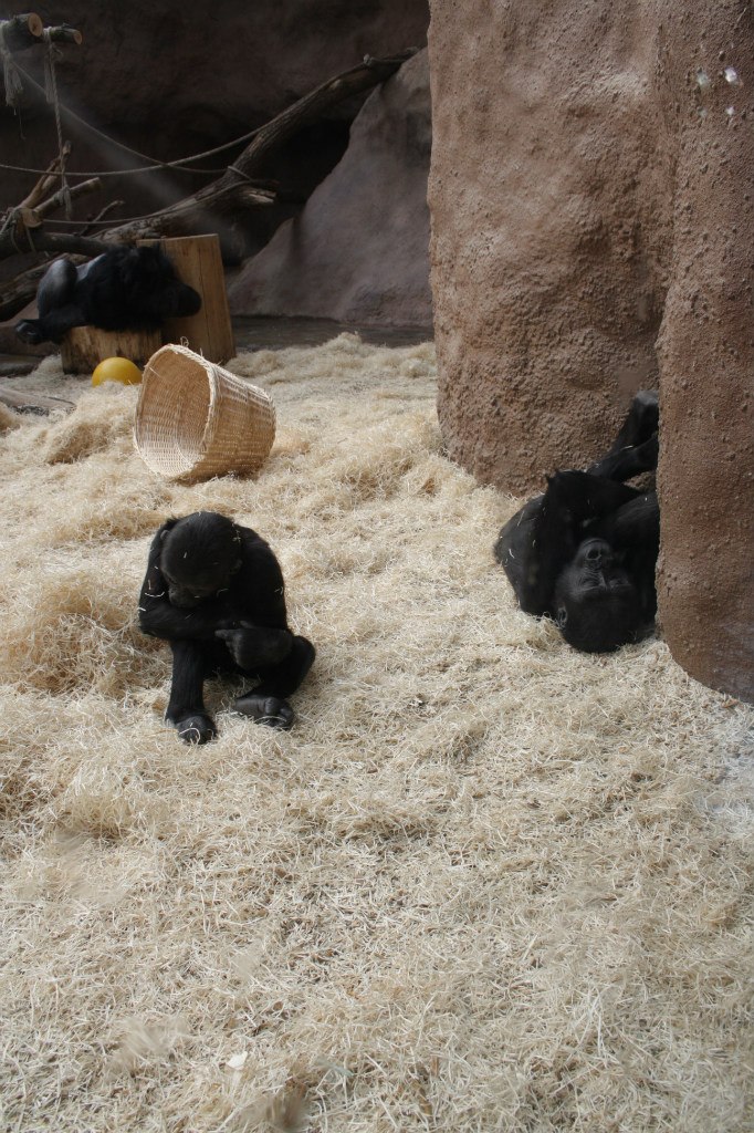 Евгения Прок | Санкт-Петербург