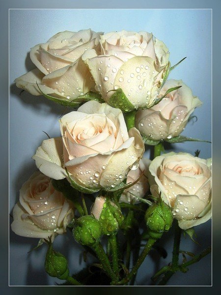 №190, Любовь Толочко, Уральск №190, Любовь Толочко, Уральск