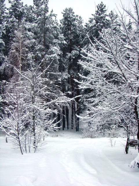 Алеся Сергеева ♥♥♥ | Киев