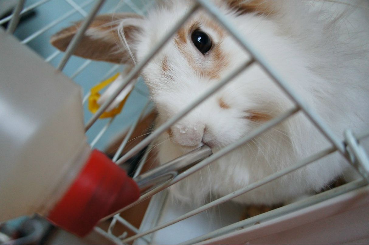 Алевтина Коростылева | Владивосток