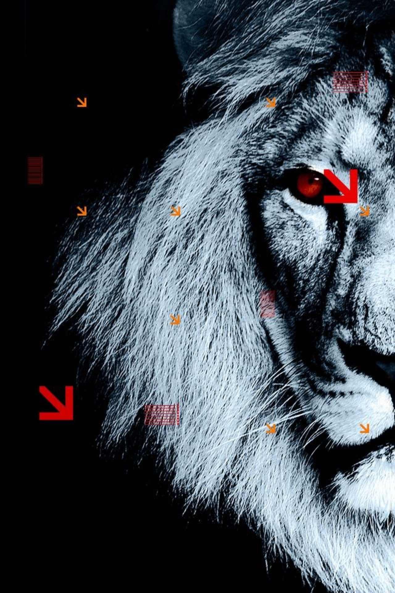 Иван Лучков | Одесса