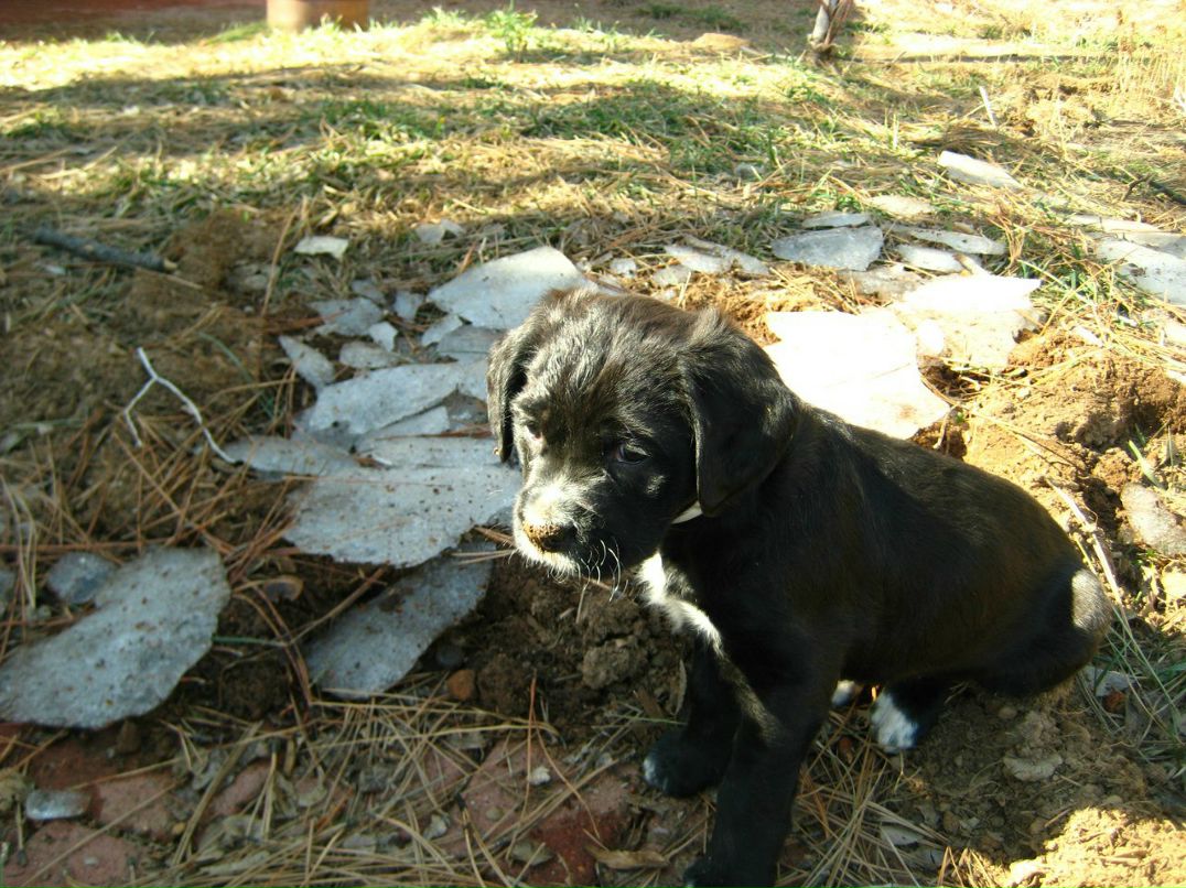 Аня Крылова | Santa Fe