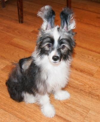 Наталья Ванина (Плигина) | Санкт-Петербург