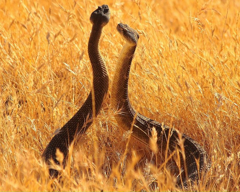 Сергей К | Pampatar