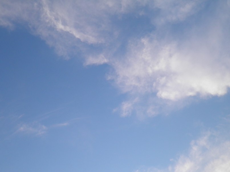 Дима Богма | Черкассы