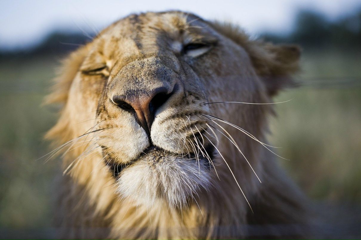 Александра Рудакова | Москва