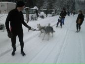 №18 Светлана Ларионова 04.04: профиль, фото, статус - ВКонтакте