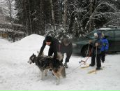 №5 Светлана Ларионова 04.04: профиль, фото, статус - ВКонтакте