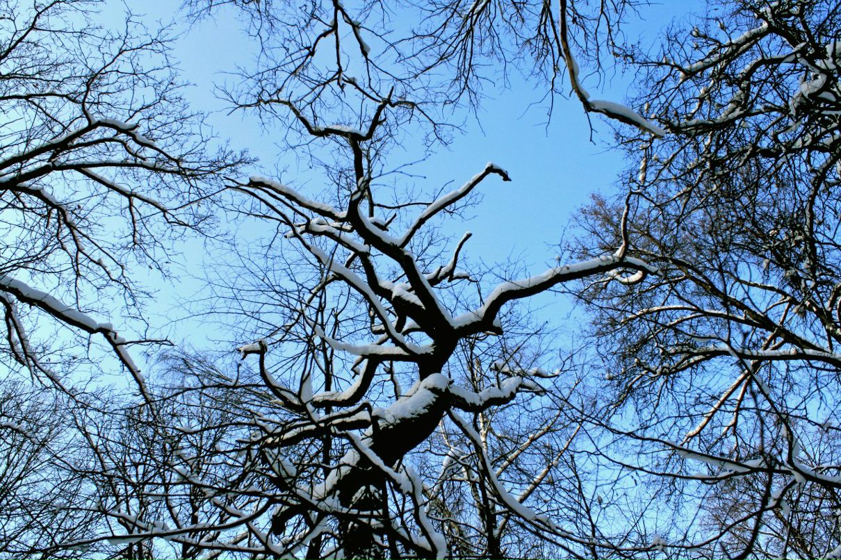 Виктор Исаев | Москва
