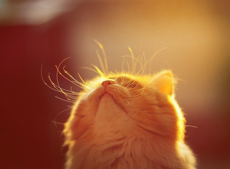 Валерия Васильева | Казань