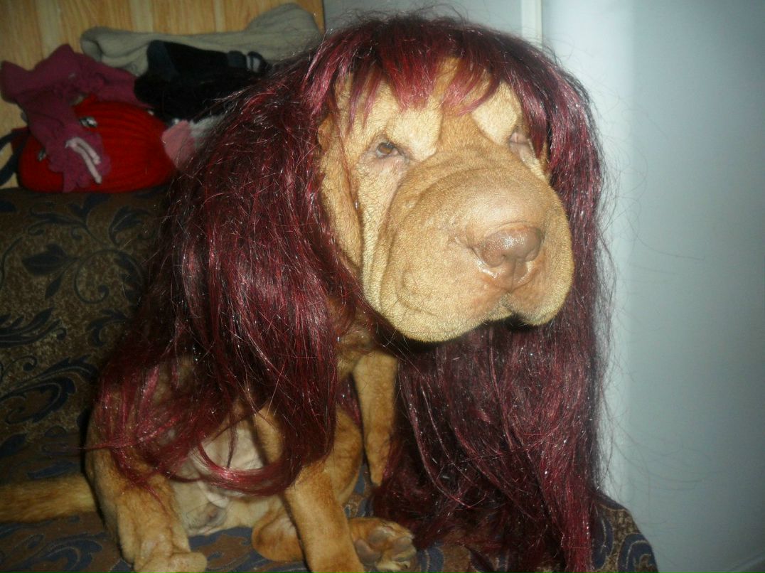 Виктор Петров | Бабаево