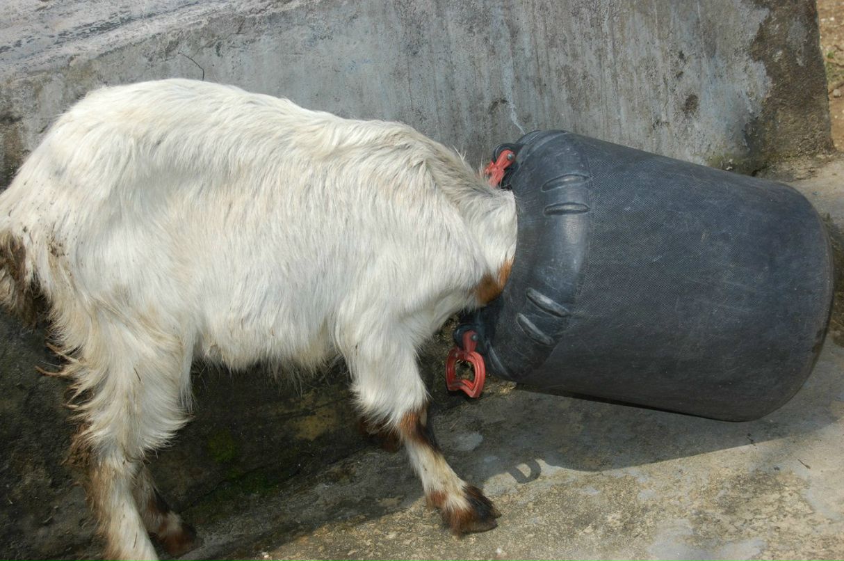 Иван Пилюгин Skiv | Москва