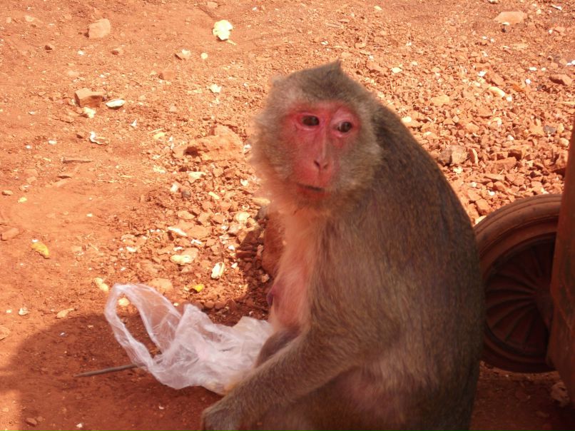 Алексей Семченков | Дивногорск