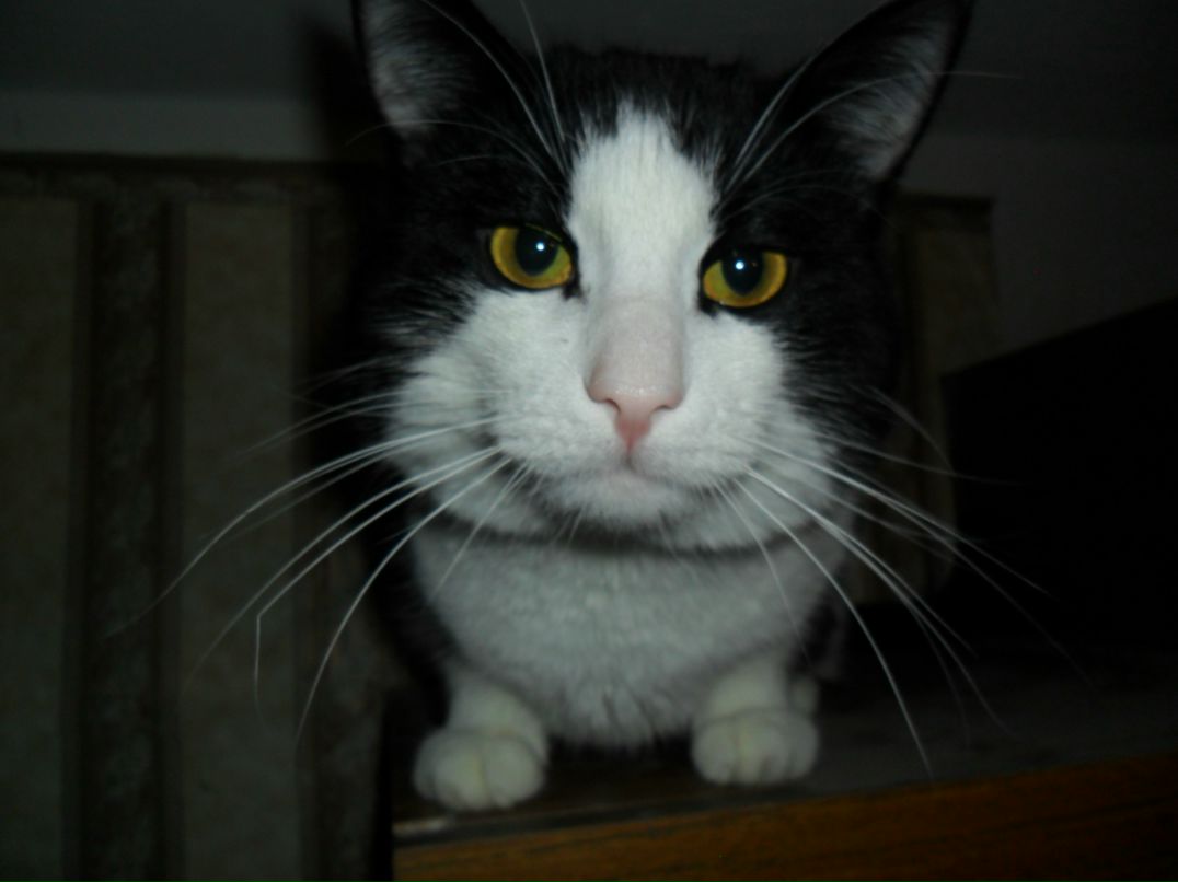 Алексей Мальцев Валентинович | Архангельск