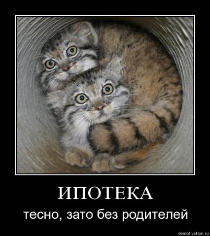 №90, Дмитрий Панасюк, 26 лет, Тольятти №90, Дмитрий Панасюк, 26 лет, Тольятти