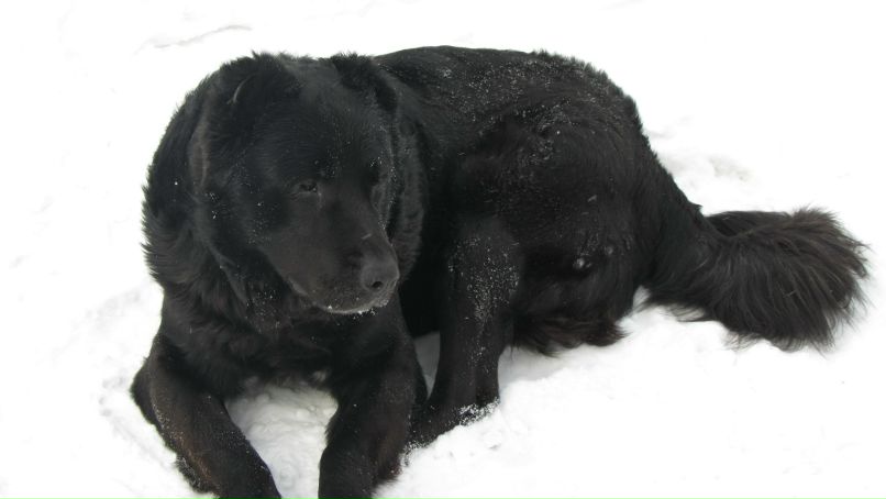 Сергей Кордон | Борисполь