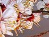 Любовь Савилова | Воронеж