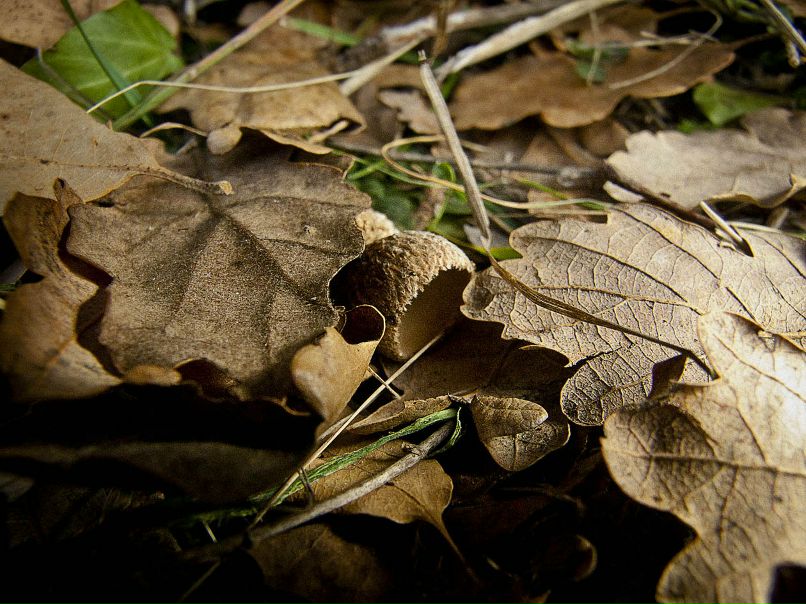 Павел Шпильман | Москва