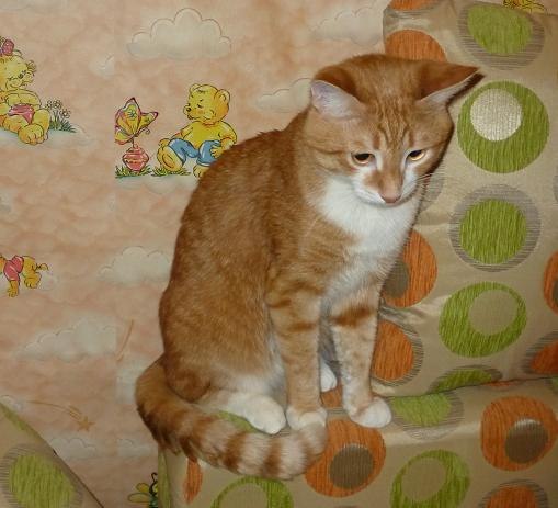 Александра Кожевникова | Лысьва