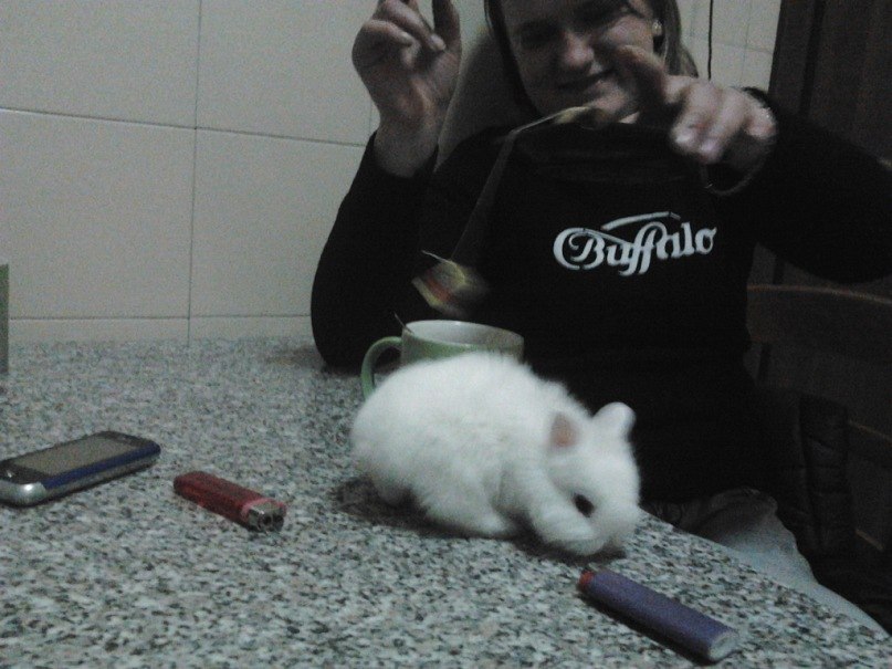 Наташа Балицька | Львов