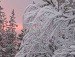 Вера Синицына | Самара
