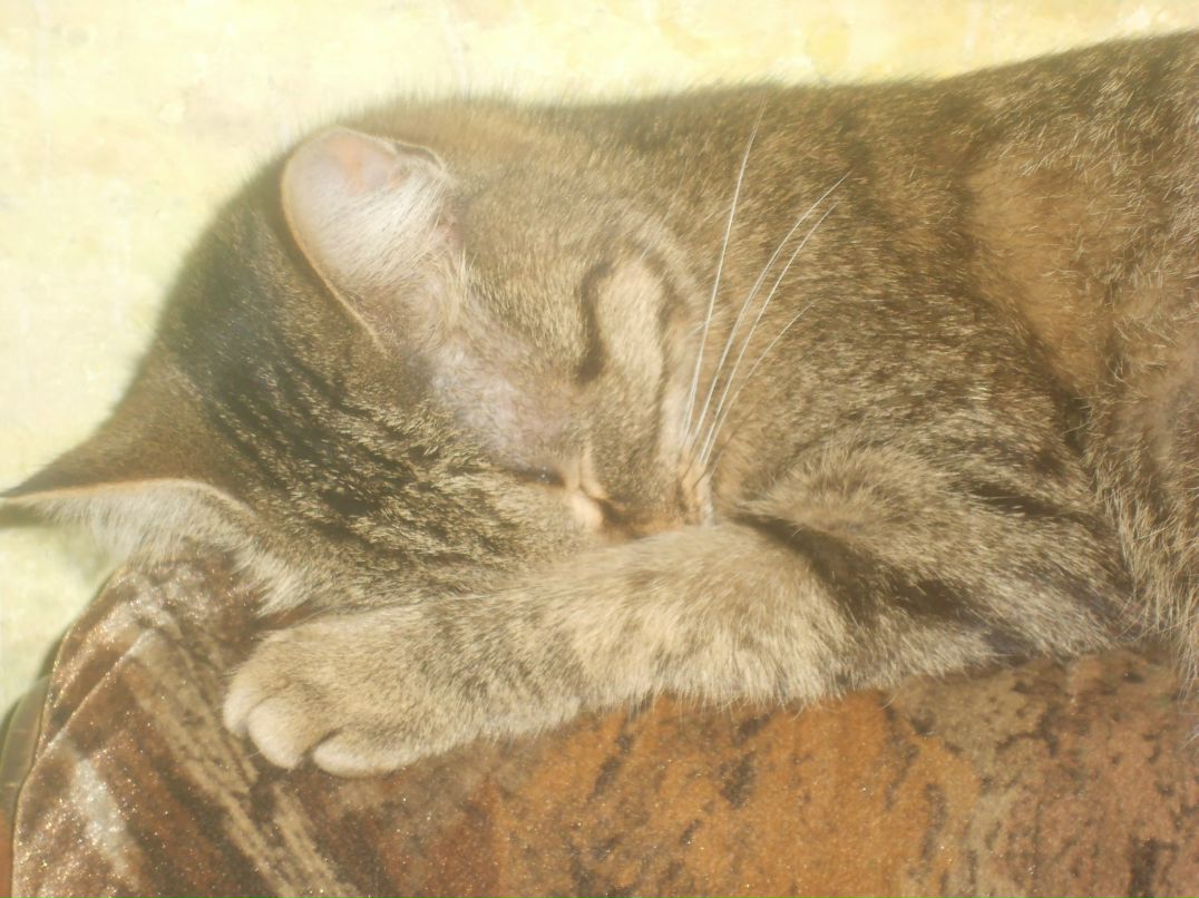 Наталья Бухарова Геннадьевна | Казань