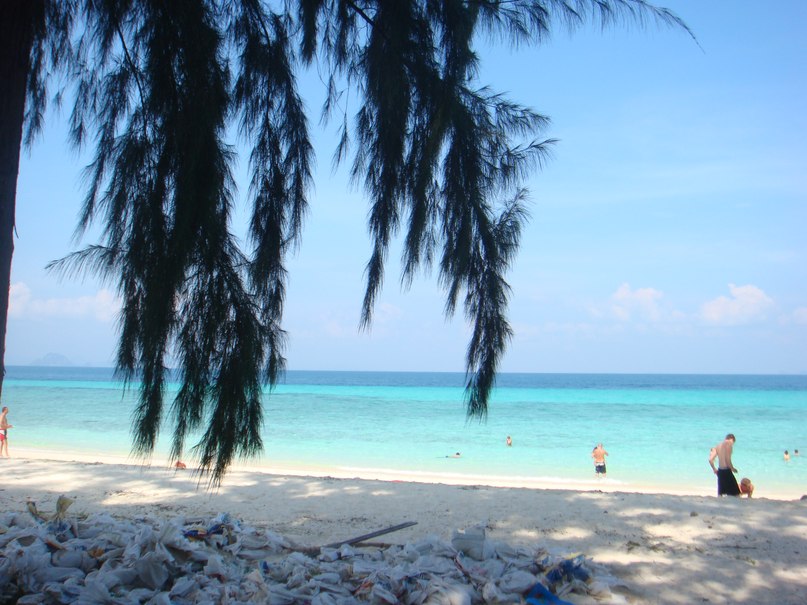 Nick Fish | Новосибирск