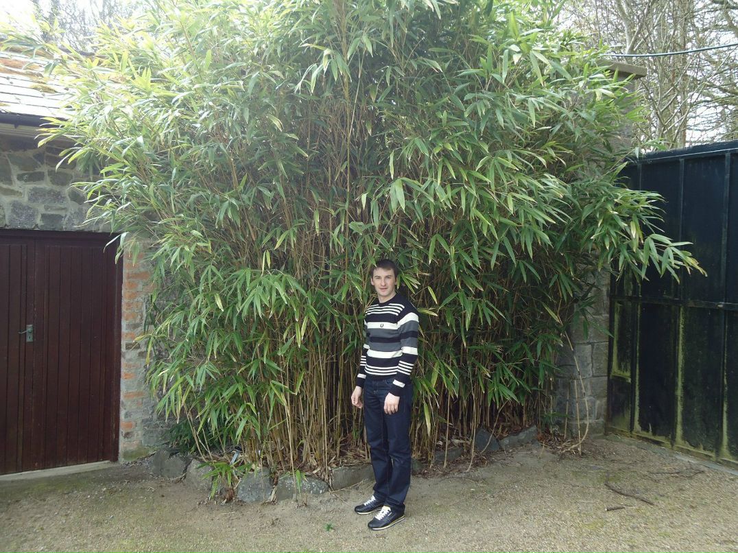 Алексей Пронин student | Минск