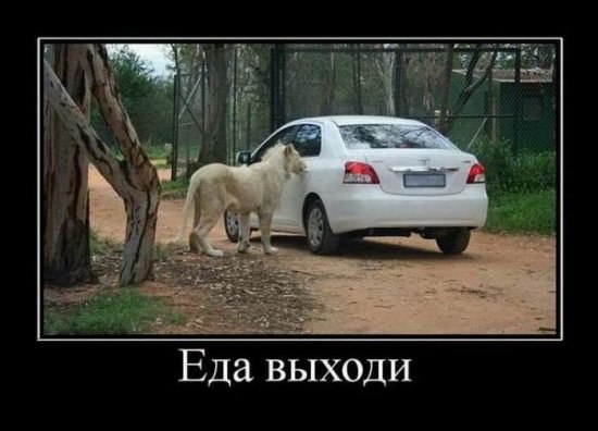 Юля Стрелкова | Белорецк