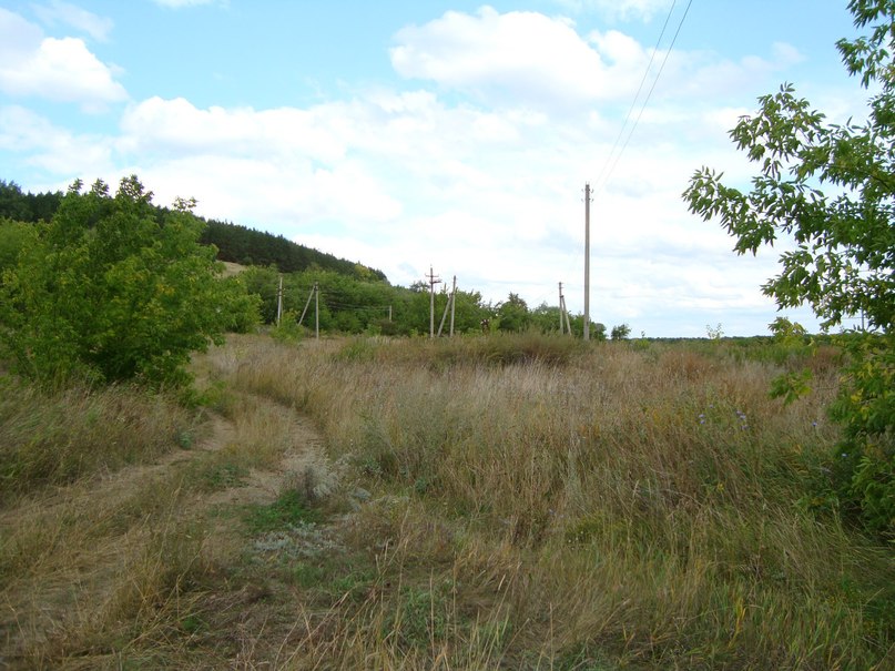 Дима Терентьев | Санкт-Петербург