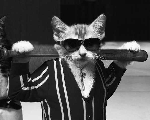 Дмитрий Заморев | 